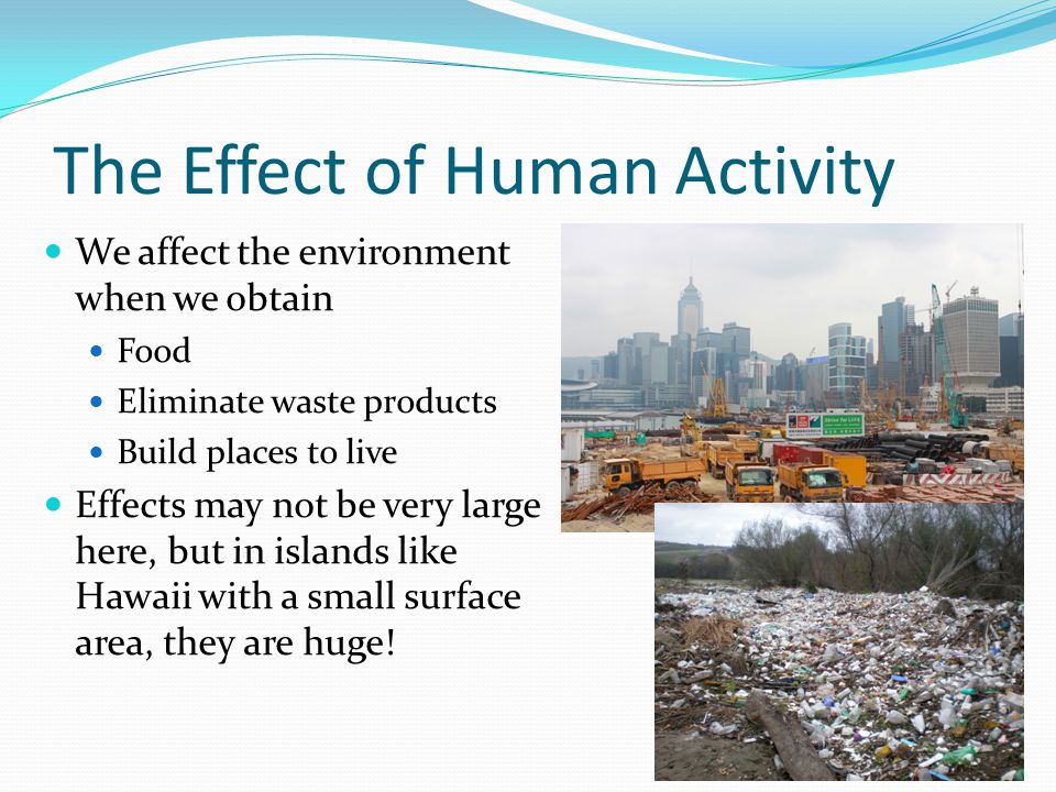 impacts of human activities